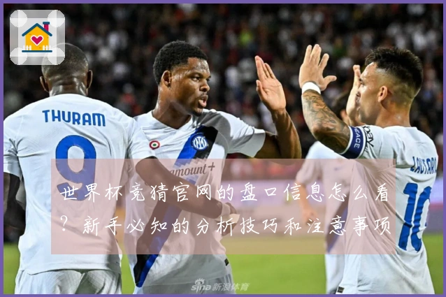 世界杯竞猜官网的盘口信息怎么看？新手必知的分析技巧和注意事项