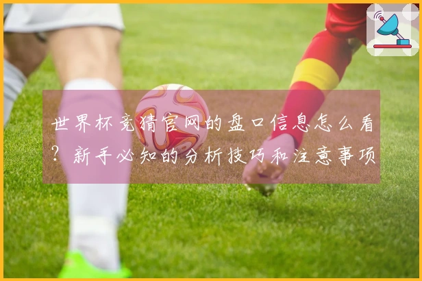 世界杯竞猜官网的盘口信息怎么看？新手必知的分析技巧和注意事项