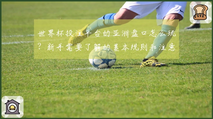 世界杯投注平台的亚洲盘口怎么玩？新手需要了解的基本规则和注意事项
