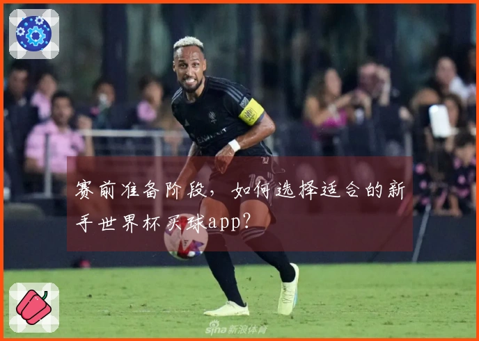 赛前准备阶段，如何选择适合的新手世界杯买球app？
