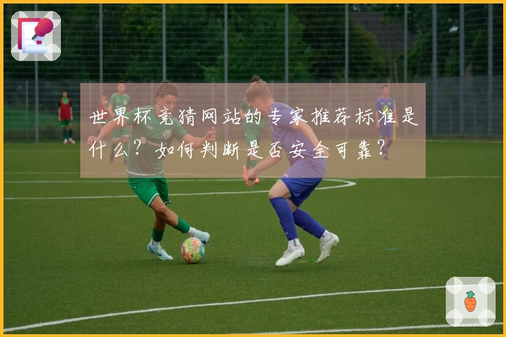 世界杯竞猜网站的专家推荐标准是什么？如何判断是否安全可靠？