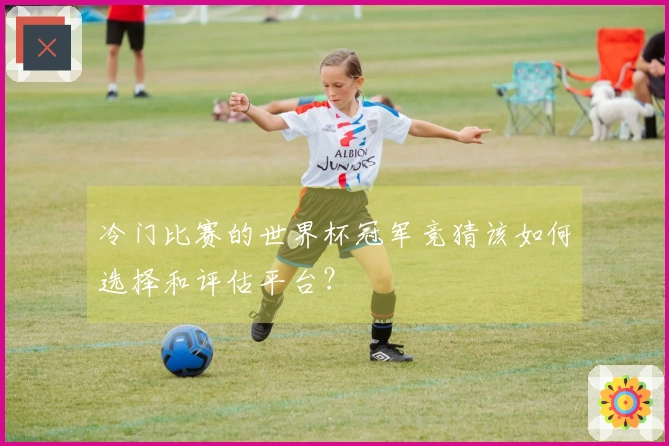 冷门比赛的世界杯冠军竞猜该如何选择和评估平台？