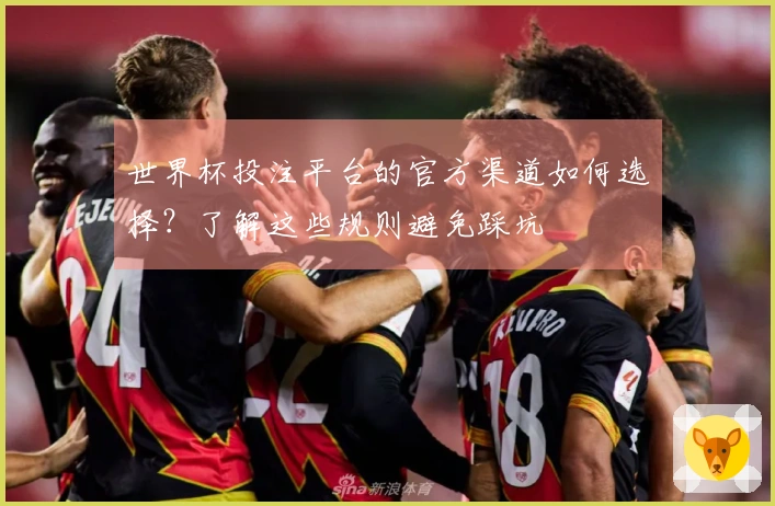 世界杯投注平台的官方渠道如何选择？了解这些规则避免踩坑