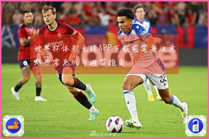 世界杯体彩竞猜APP下载前需要注意哪些常见坑与避雷指南