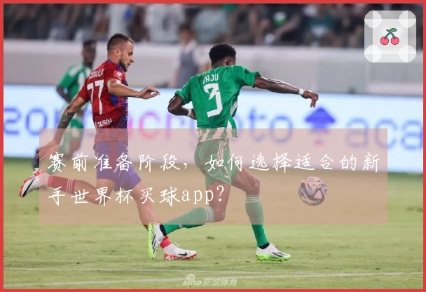 赛前准备阶段，如何选择适合的新手世界杯买球app？