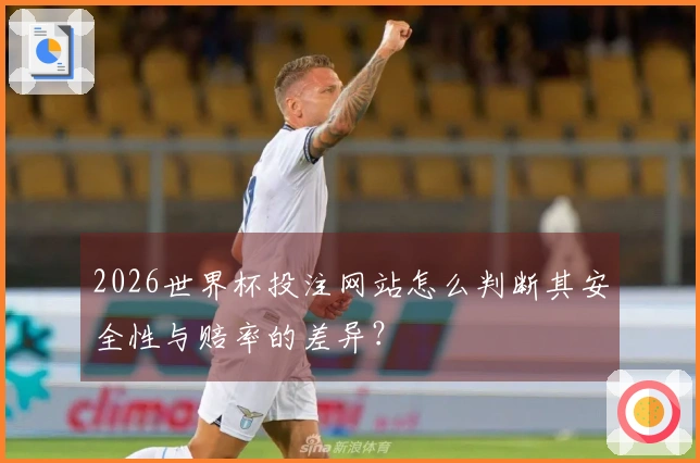 2026世界杯投注网站怎么判断其安全性与赔率的差异？