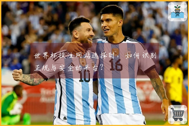 世界杯投注网站选择时，如何识别正规与安全的平台？