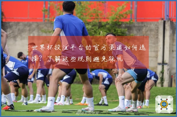 世界杯投注平台的官方渠道如何选择？了解这些规则避免踩坑